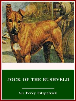 Cover of the book Jock of the Bushveld by John H. Haaren