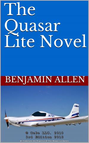 Cover of The Quasar Lite Novel