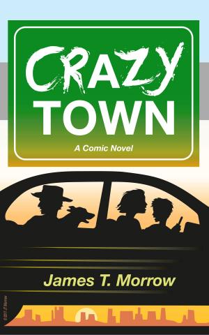 Cover of the book Crazy Town by Julie Duffy