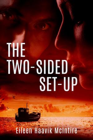 Book cover of The Two-Sided Set-Up