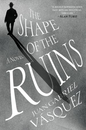 Cover of the book The Shape of the Ruins by Marie Cook
