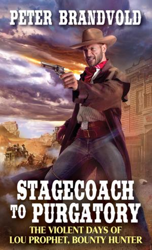 Cover of the book Stagecoach to Purgatory by Peter Higgins