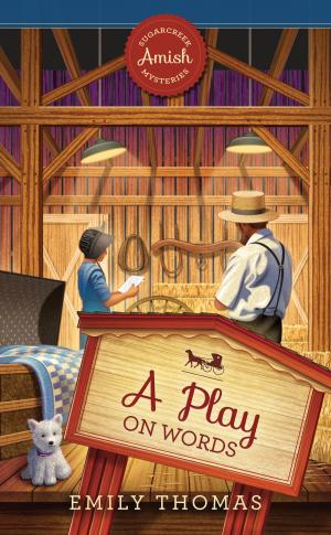 Cover of the book A Play on Words by Julie Ziglar Norman