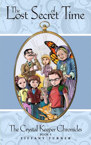 Book cover of The Lost Secret of Time