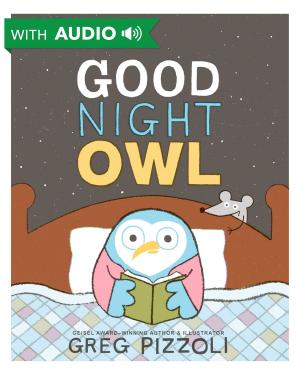 Book cover of Good Night Owl