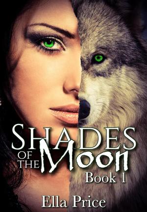 Cover of the book Shades of the Moon by Oz Tellez