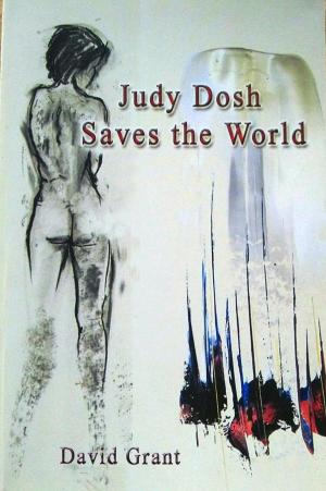Cover of the book Judy Dosh Saves the World by Henry Murphy