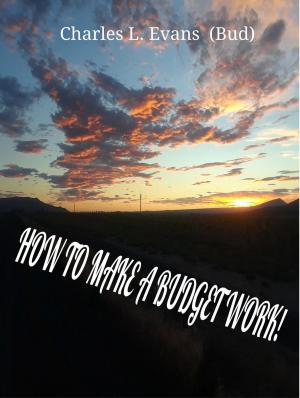 Cover of How To Make A Budget Work