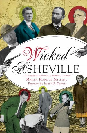 Cover of the book Wicked Asheville by David D. Williams, Hydroplane and Raceboat Museum