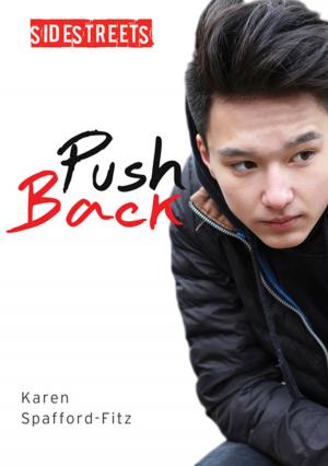 Cover of the book Push Back by Sandra Diersch