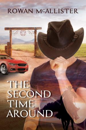 Cover of the book The Second Time Around by Debbie K. Lum