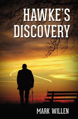Cover of the book Hawke's Discovery by Keith R. A. DeCandido