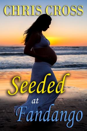 Cover of the book Seeded at Fandango by Elexis Avant
