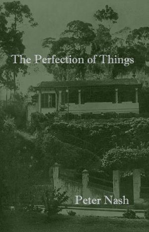 Cover of the book The Perfection of Things by Scott T. Starbuck