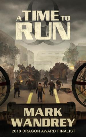 Cover of the book A Time To Run by Craig R. Everett