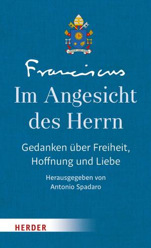 Cover of the book Im Angesicht des Herrn by Tilman Jens