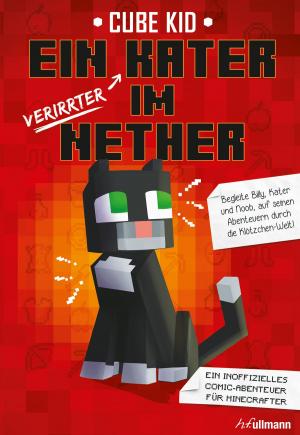 Cover of the book Ein verirrter Kater im Nether by Stéphane Pilet
