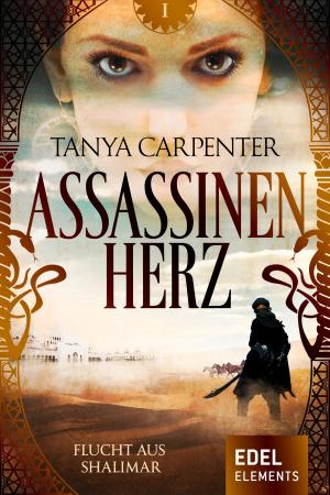 Cover of the book Assassinenherz: Flucht aus Shalimar by Leonie Postma