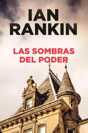 Cover of the book Las sombras del poder by Richard L. Wren