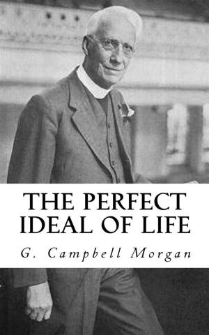 Cover of the book The Perfect Ideal of Life by Ellen Wexford