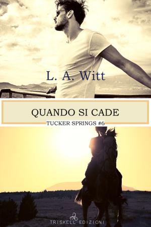 Cover of the book Quando si cade by Jana Aston