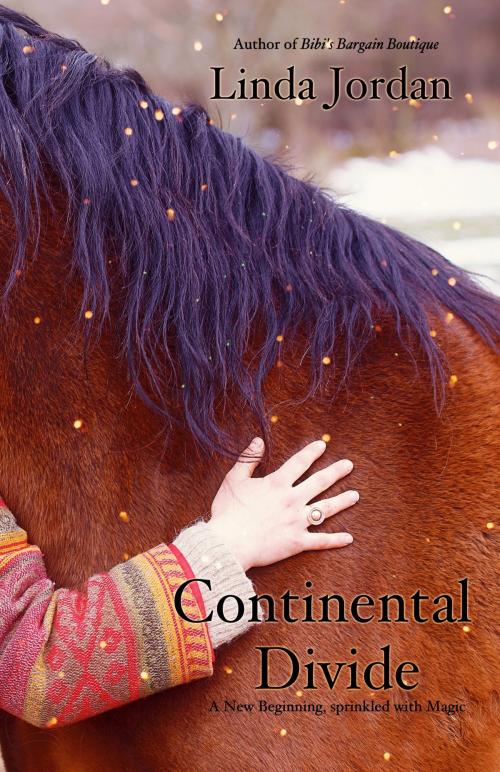 Cover of the book Continental Divide by Linda Jordan, Metamorphosis Press