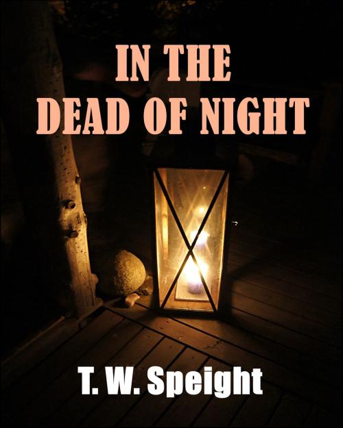 Cover of the book In The Dead of Night by T. W. Speight, Green Bird Press