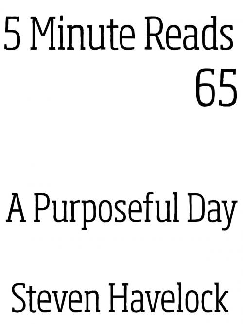 Cover of the book A Purposeful Day by Steven Havelock, Dynamicink09