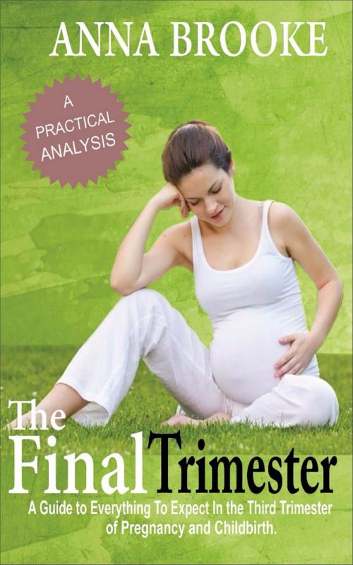 Cover of the book The Final Trimester by Anna C. Brooke, L. K. Courtney