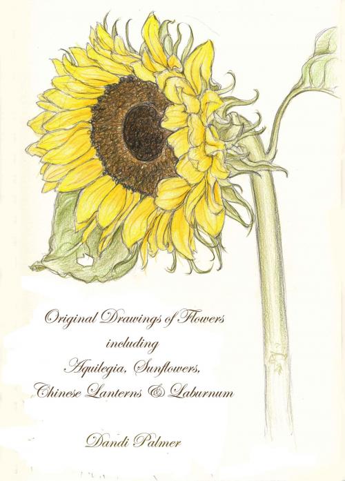 Cover of the book Original Drawings of Flowers including Aquilegia, Sunflowers, Chinese Lanterns and Laburnum by Dandi Palmer, Dodo Books