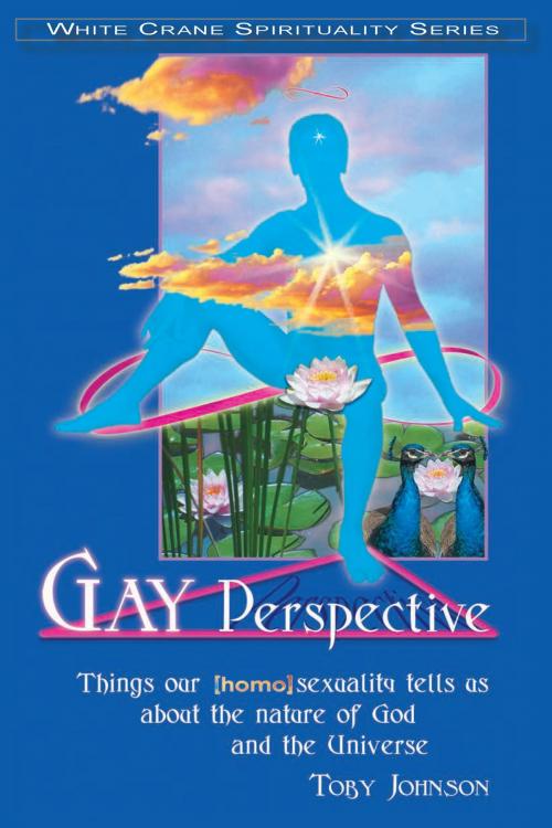 Cover of the book Gay Perspective: Things our [Homo]sexuality Tells Us About the Nature of God and the Universe by Toby Johnson, Toby Johnson
