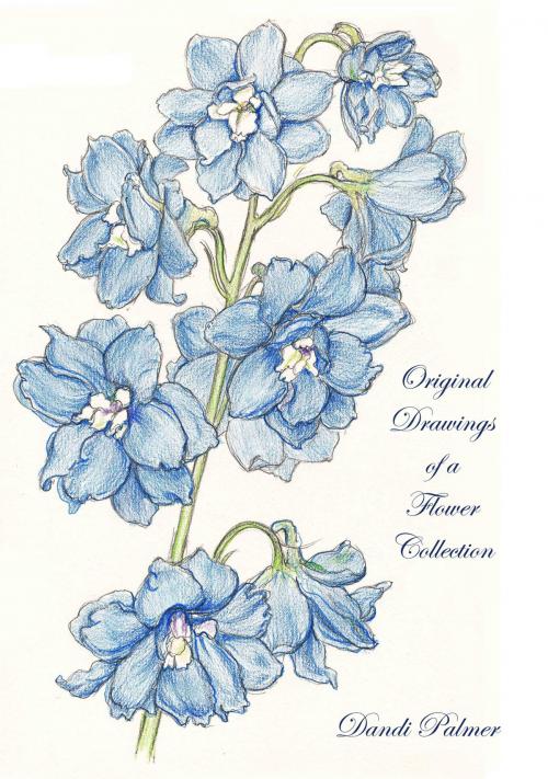 Cover of the book Original Drawings of a Flower Collection by Dandi Palmer, Dodo Books