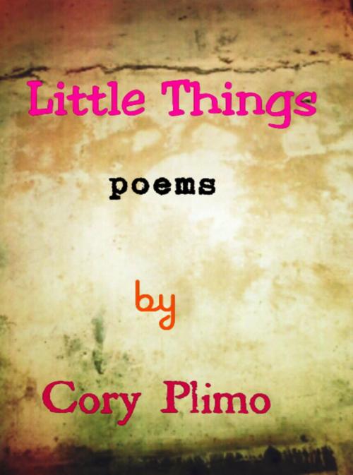 Cover of the book Little Things by Cory Plimo, Libros Agency Kenya Limited