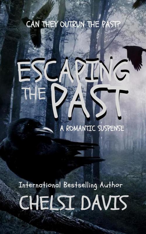 Cover of the book Escaping The Past by Chelsi Davis, Crazy Ink