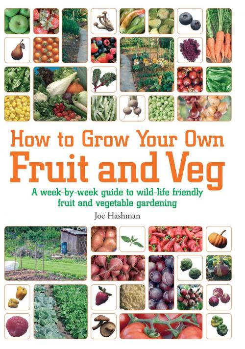 Cover of the book How To Grow Your Own Fruit and Veg by Joe Hashman, Little, Brown Book Group