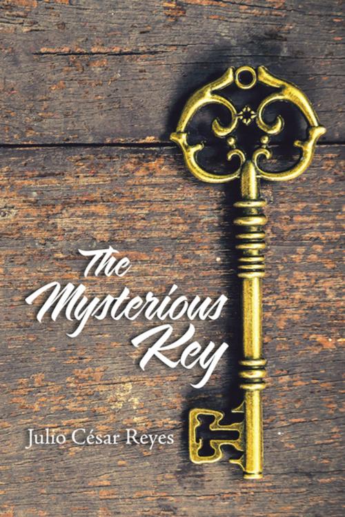 Cover of the book The Mysterious Key by Julio César Reyes, Palibrio