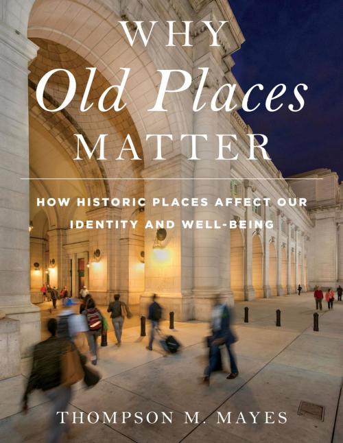 Cover of the book Why Old Places Matter by Thompson M. Mayes, Vice President and Senior Counsel, National Trust for Historic Preservation, Rowman & Littlefield Publishers