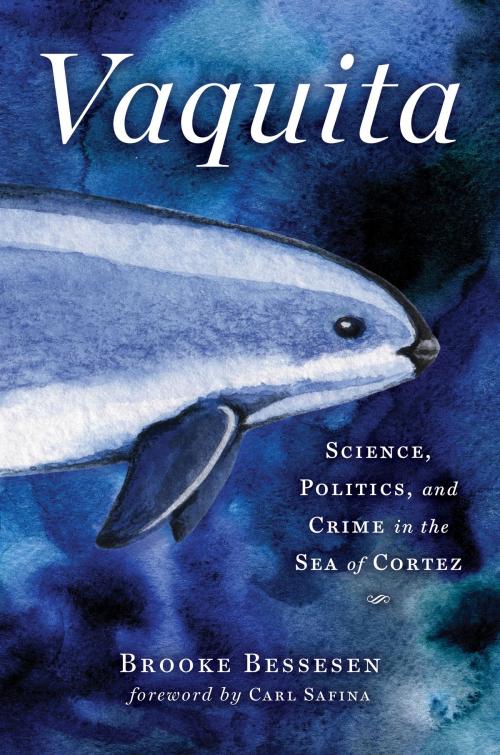 Cover of the book Vaquita by Brooke Bessesen, Island Press