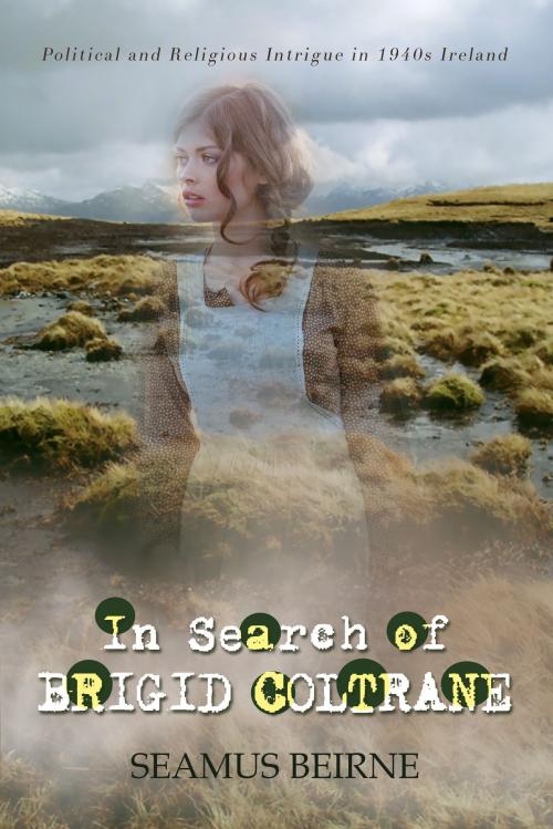 Cover of the book In Search of Brigid Coltrane by Seamus Beirne, Fireship Press