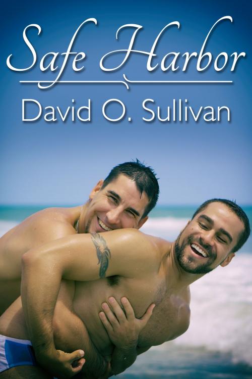 Cover of the book Safe Harbor by David O. Sullivan, JMS Books LLC