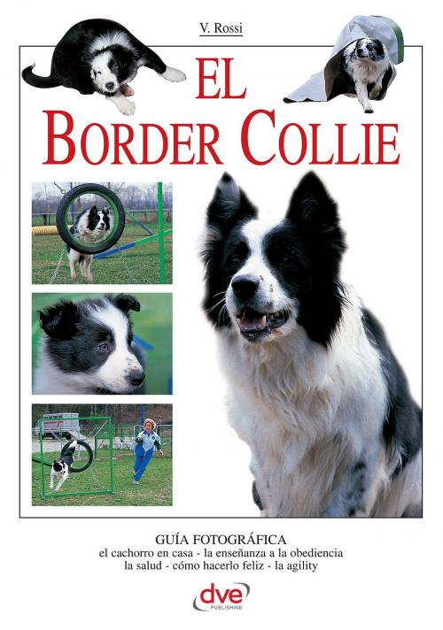 Cover of the book El border collie by Valeria Rossi, De Vecchi