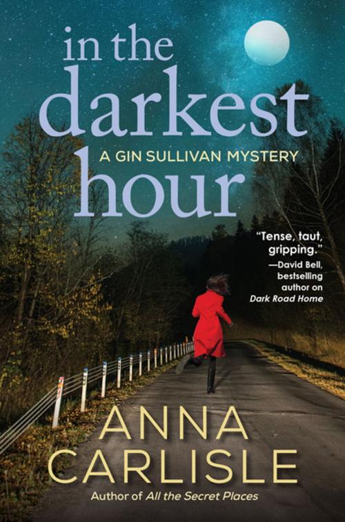 Cover of the book In the Darkest Hour by Anna Carlisle, Crooked Lane Books