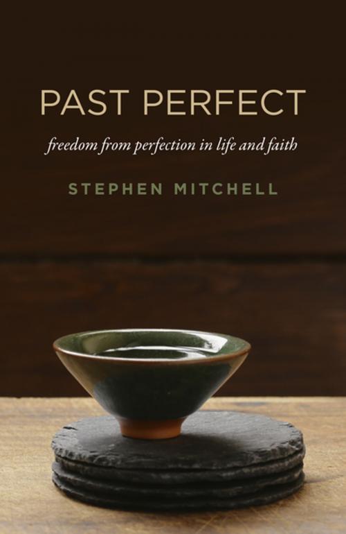 Cover of the book Past Perfect by Stephen Mitchell, John Hunt Publishing