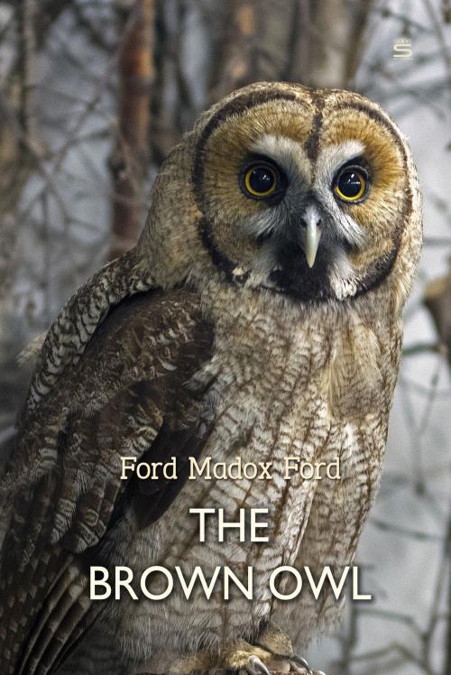 Cover of the book The Brown Owl by Ford Ford, Interactive Media