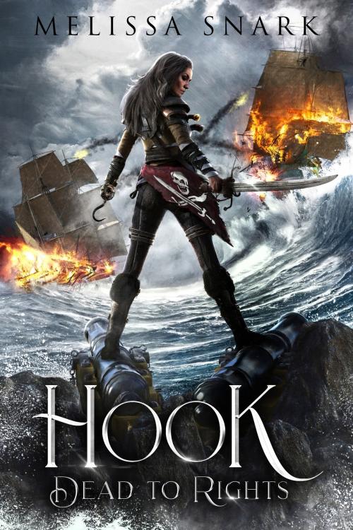 Cover of the book Hook by Melissa Snark, Nordic Lights Press