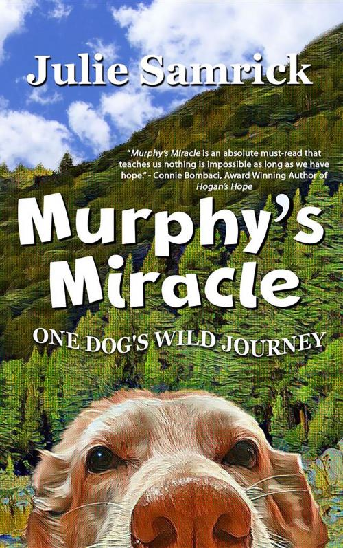 Cover of the book Murphy's Miracle by Julie Samrick, Motina Books