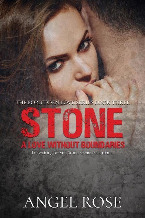 Cover of the book Stone by Angel Rose, Kingston Publishing Company