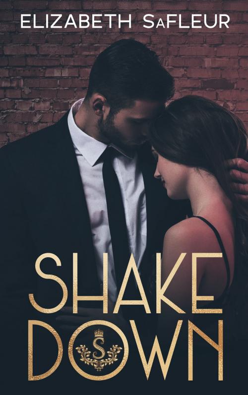 Cover of the book Shakedown by Elizabeth SaFleur, Elizabeth SaFleur LLC