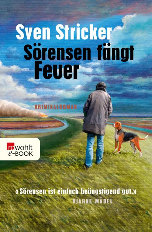 Cover of the book Sörensen fängt Feuer by Sven Stricker, Rowohlt E-Book