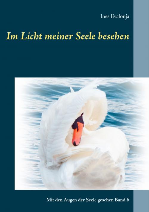 Cover of the book Im Licht meiner Seele besehen by Ines Evalonja, Books on Demand